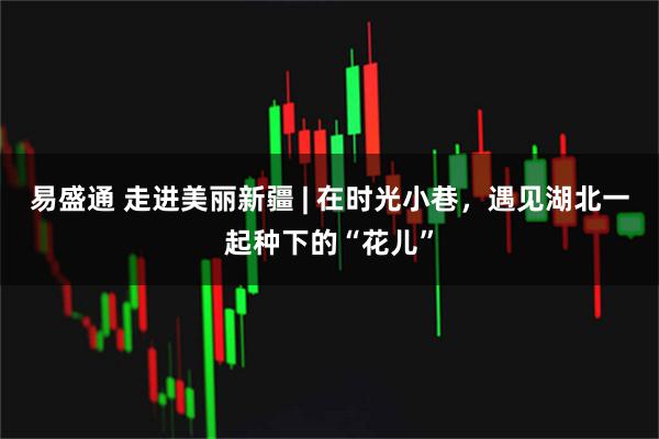 易盛通 走进美丽新疆 | 在时光小巷，遇见湖北一起种下的“花儿”