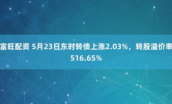 富旺配资 5月23日东时转债上涨2.03%，转股溢价率516.65%